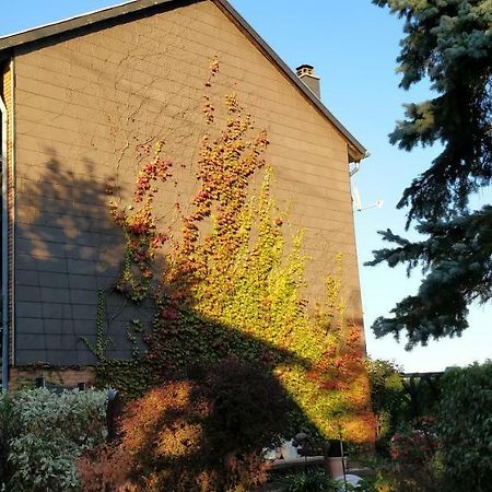 Ursula'S Ferienwohnung Marpingen Zewnętrze zdjęcie