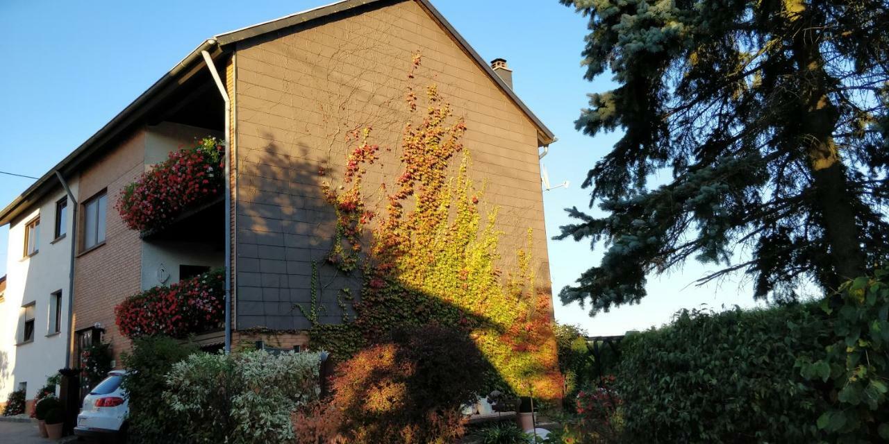 Ursula'S Ferienwohnung Marpingen Zewnętrze zdjęcie